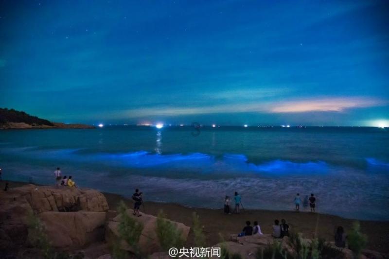 我市举办非遗迎新春展演展示惠民活动