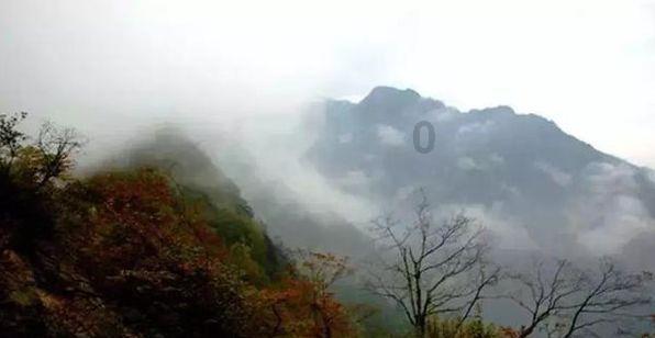 一个四川青年导演的上海观察：每天都有新鲜事，又刺激又松弛