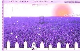 威海春节消费“稳”字当头，“过年”期间有三盼