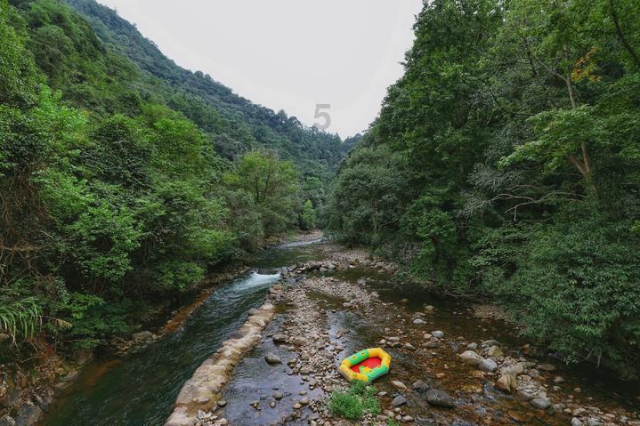 小猫钓鱼开船版最新版下载