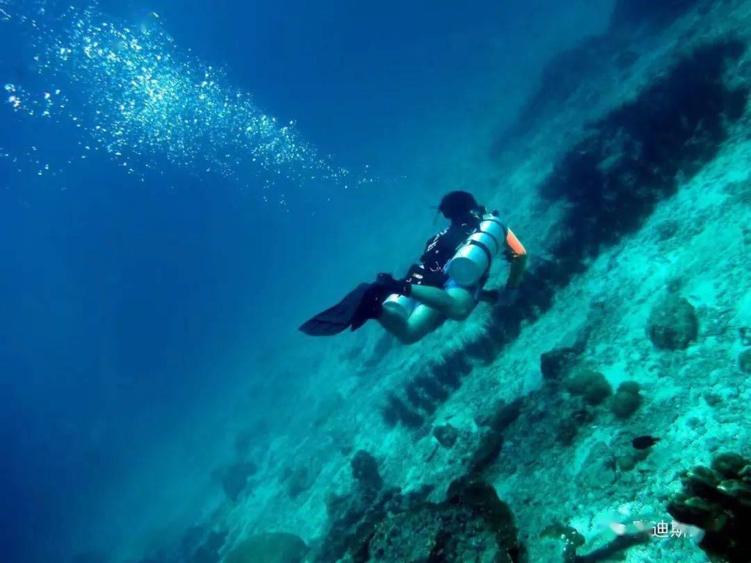 救援海盗章鱼