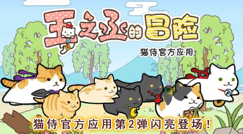 景洪景盛社区:党建引领下的温暖家园