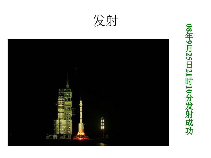 救援袋鼬