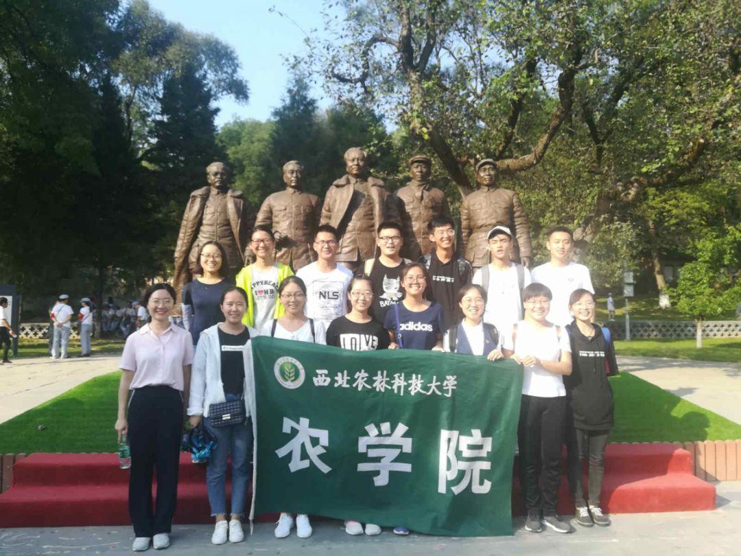 特战英雄