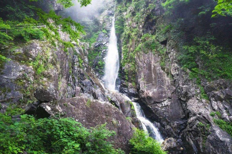 生化危机：启示录