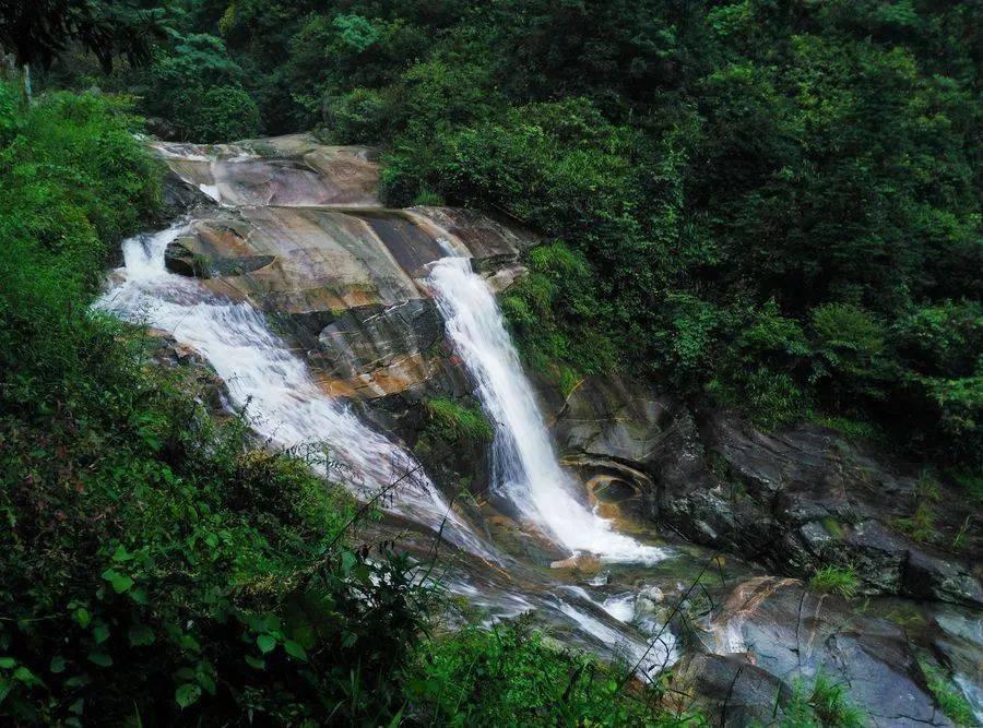 多问多答,尽在