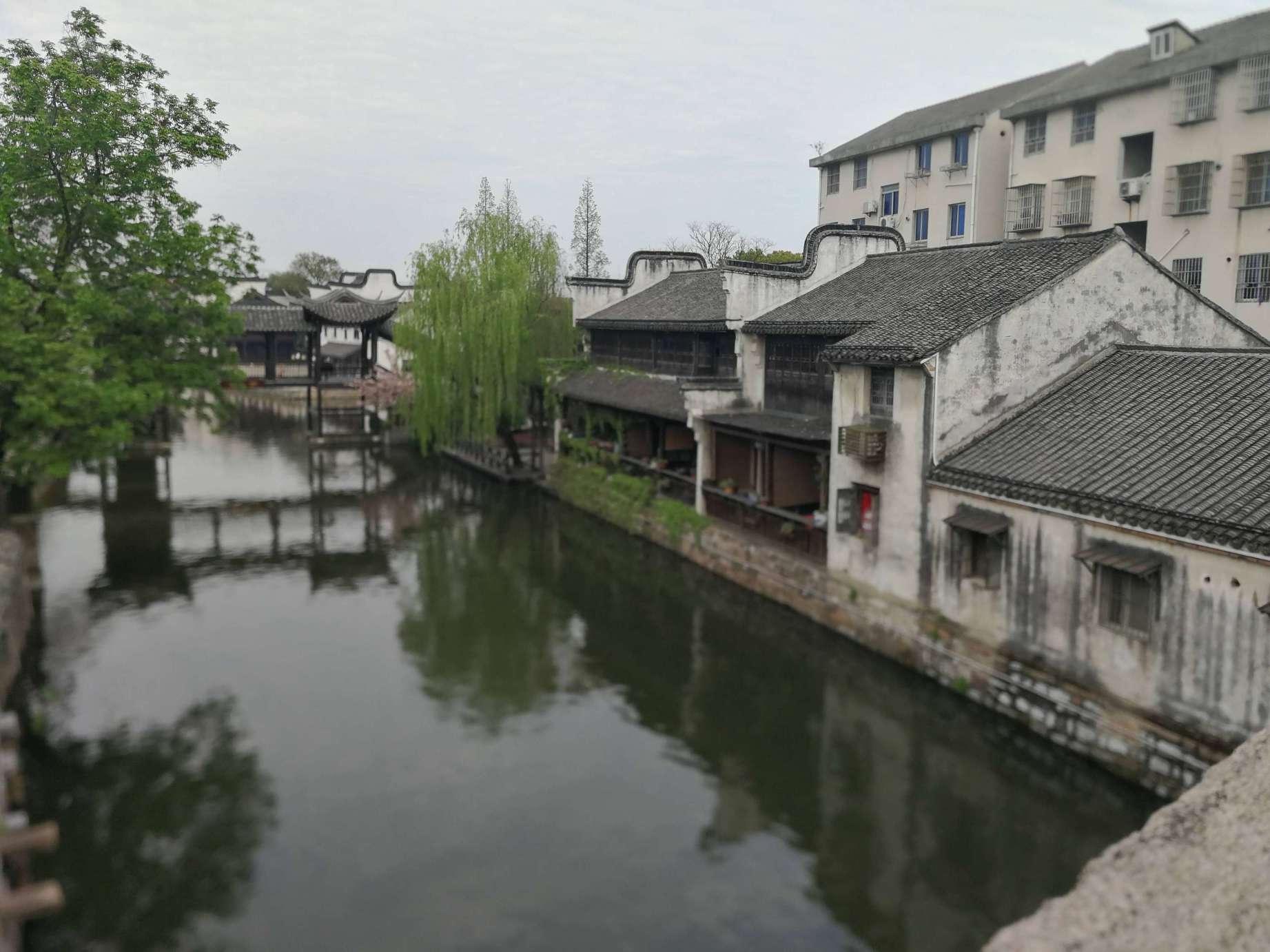多地春晚彩排现科目三，被吐槽又土又难听，超八成网友投票不想再看