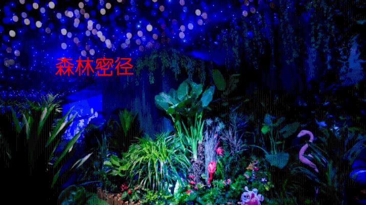 小艾比摄影家